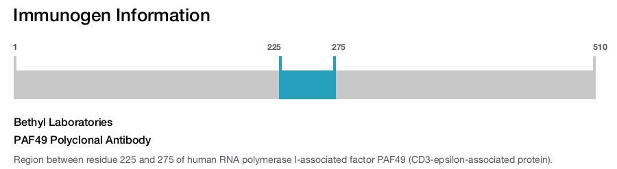 PAF49 Polyclonal Antibody