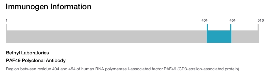PAF49 Polyclonal Antibody