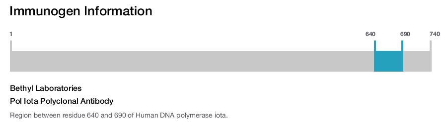 Pol Iota Polyclonal Antibody