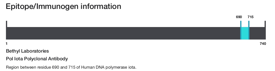 Pol Iota Polyclonal Antibody