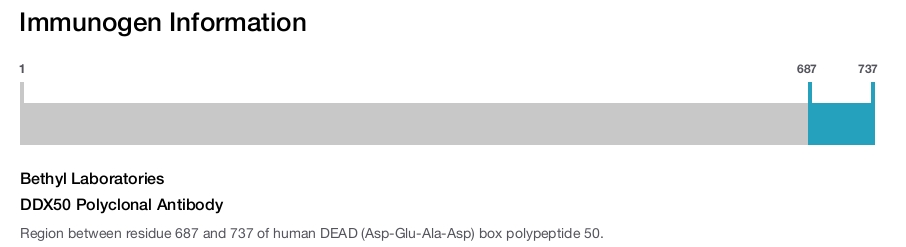 DDX50 Polyclonal Antibody