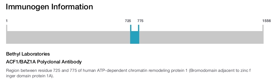 ACF1/BAZ1A Polyclonal Antibody
