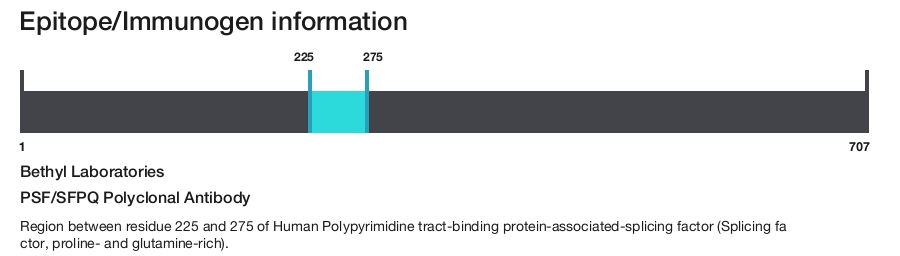 PSF/SFPQ Polyclonal Antibody