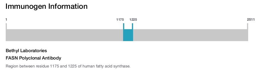 FASN Polyclonal Antibody