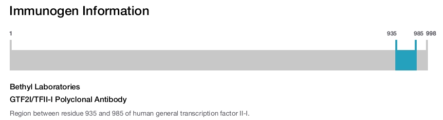 GTF2I/TFII-I Polyclonal Antibody
