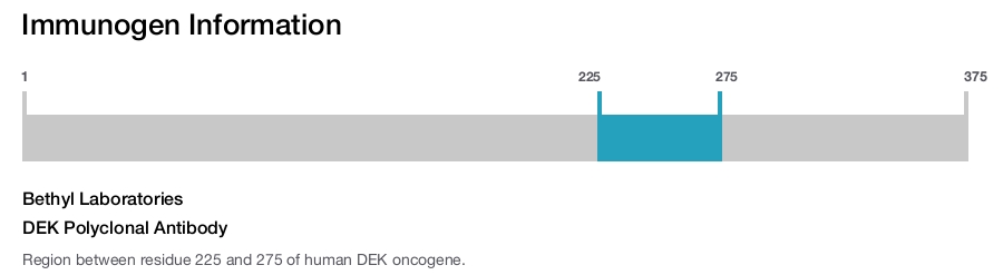 DEK Polyclonal Antibody