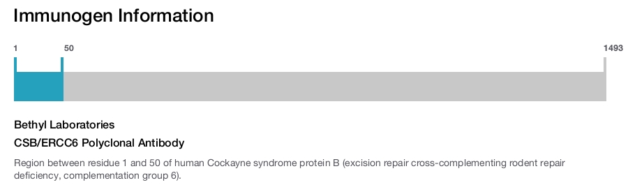 CSB/ERCC6 Polyclonal Antibody