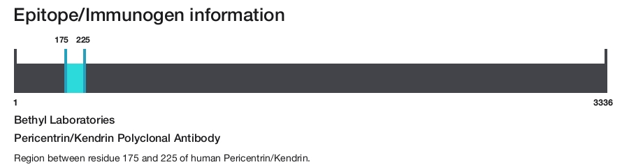 Pericentrin/Kendrin Polyclonal Antibody
