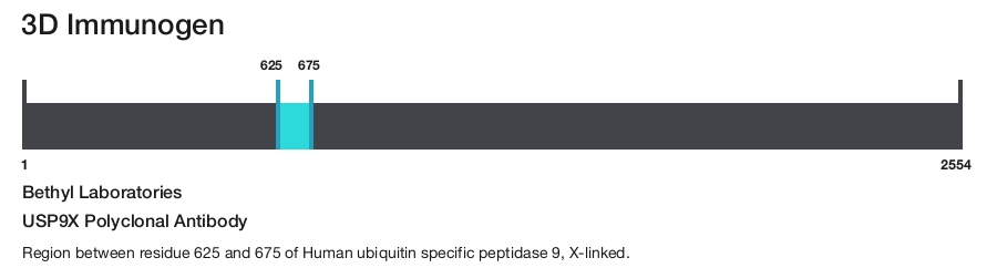 USP9X Polyclonal Antibody
