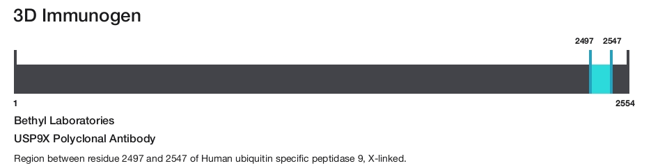 USP9X Polyclonal Antibody