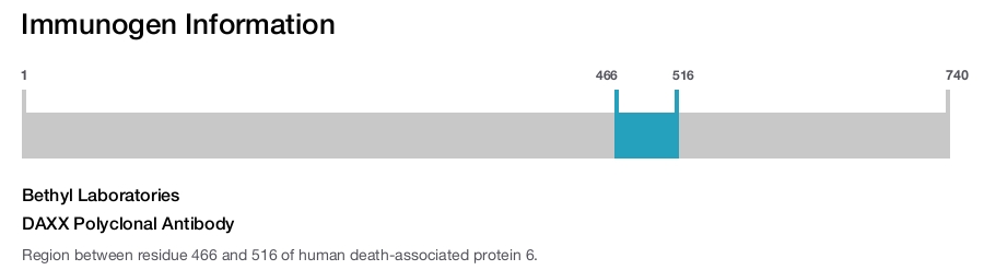 DAXX Polyclonal Antibody