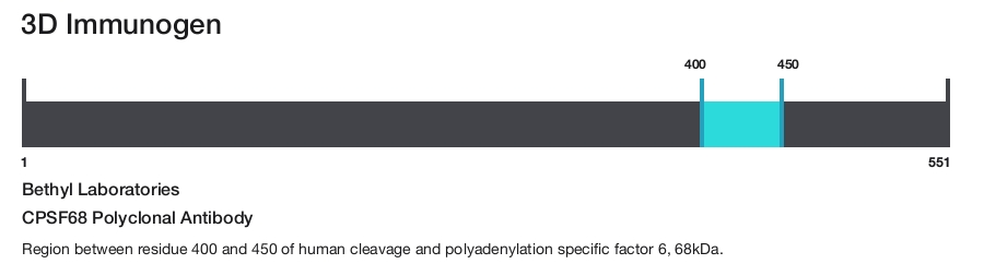 CPSF68 Polyclonal Antibody