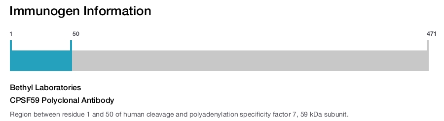 CPSF59 Polyclonal Antibody