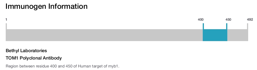 TOM1 Polyclonal Antibody