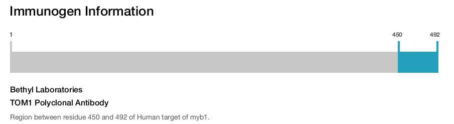 TOM1 Polyclonal Antibody