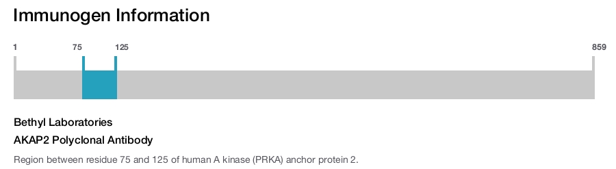 AKAP2 Polyclonal Antibody