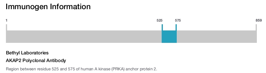 AKAP2 Polyclonal Antibody