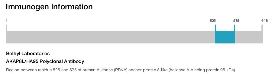 AKAP8L/HA95 Polyclonal Antibody