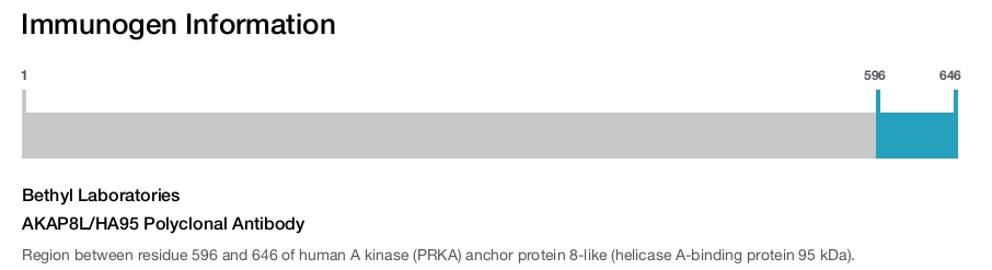 AKAP8L/HA95 Polyclonal Antibody