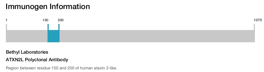 ATXN2L Polyclonal Antibody