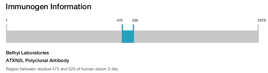 ATXN2L Polyclonal Antibody