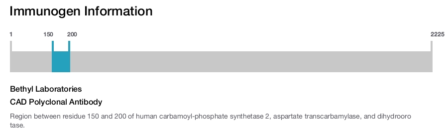 CAD Polyclonal Antibody