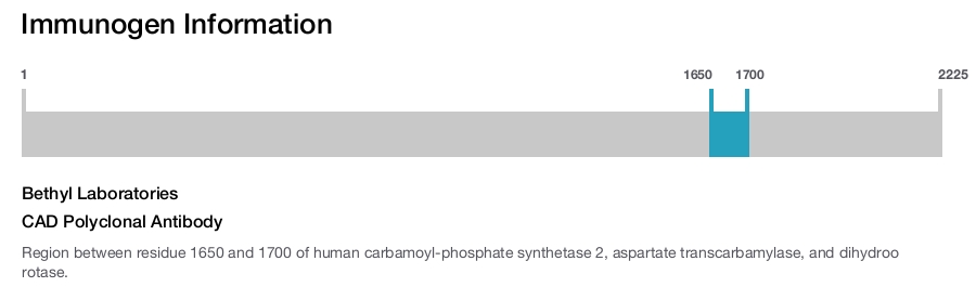 CAD Polyclonal Antibody
