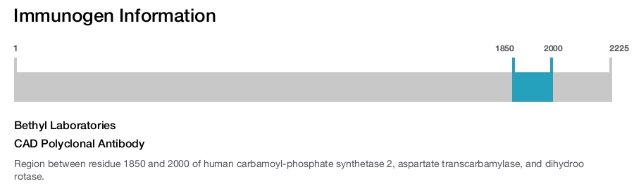 CAD Polyclonal Antibody