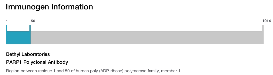 PARP1 Polyclonal Antibody