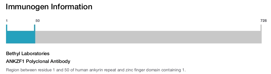 ANKZF1 Polyclonal Antibody