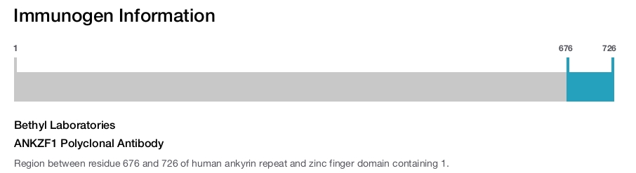 ANKZF1 Polyclonal Antibody