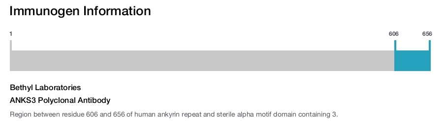 ANKS3 Polyclonal Antibody