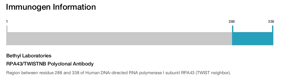 RPA43/TWISTNB Polyclonal Antibody