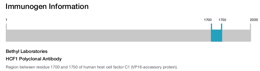 HCF1 Polyclonal Antibody