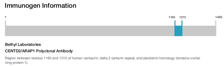 CENTD2/ARAP1 Polyclonal Antibody