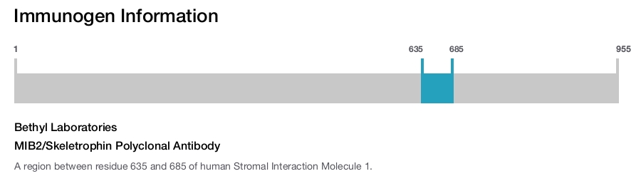 MIB2/Skeletrophin Polyclonal Antibody