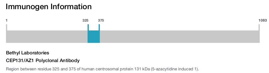 CEP131/AZ1 Polyclonal Antibody