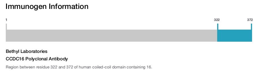 CCDC16 Polyclonal Antibody
