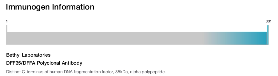 DFF35/DFFA Polyclonal Antibody