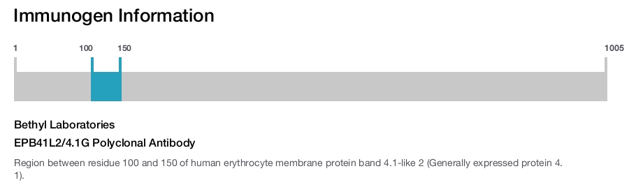 EPB41L2/4.1G Polyclonal Antibody
