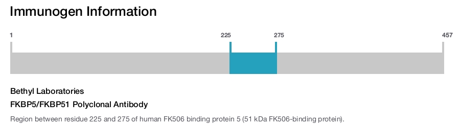 FKBP5/FKBP51 Polyclonal Antibody