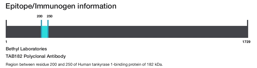 TAB182 Polyclonal Antibody