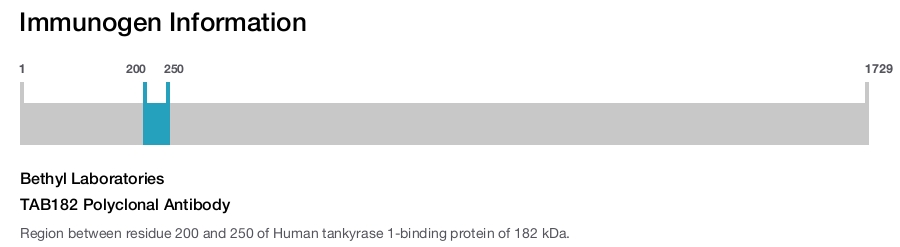 TAB182 Polyclonal Antibody