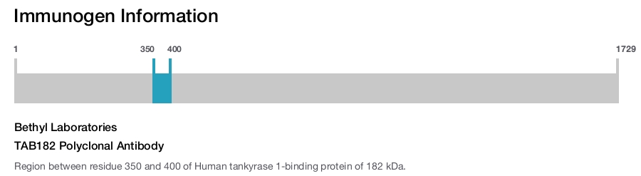 TAB182 Polyclonal Antibody