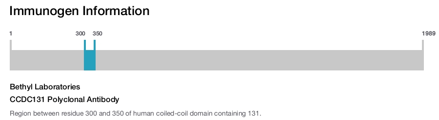 CCDC131 Polyclonal Antibody