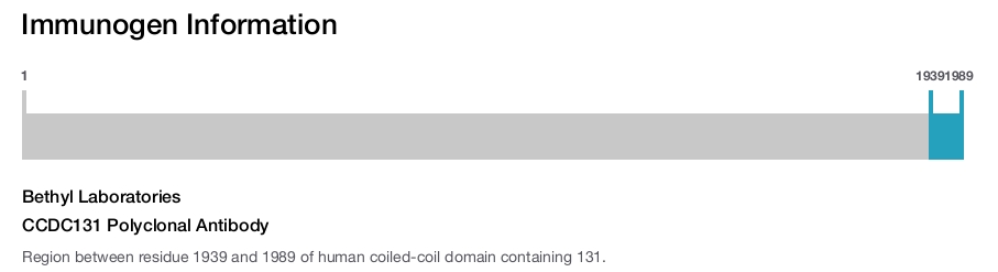 CCDC131 Polyclonal Antibody