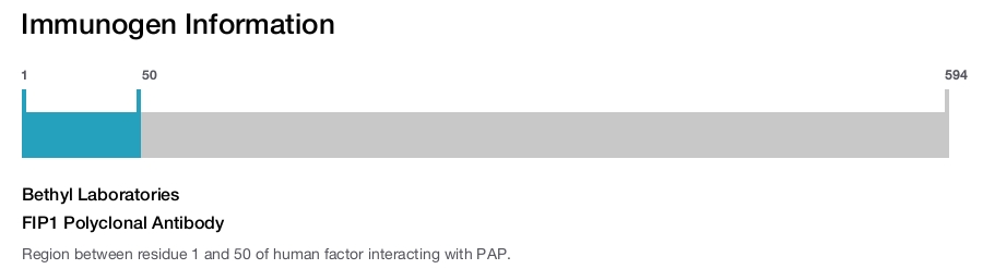 FIP1 Polyclonal Antibody