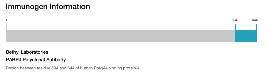 PABP4 Polyclonal Antibody