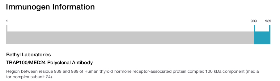 TRAP100/MED24 Polyclonal Antibody
