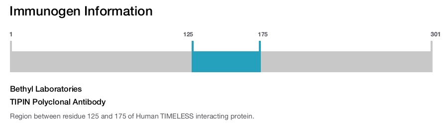 TIPIN Polyclonal Antibody